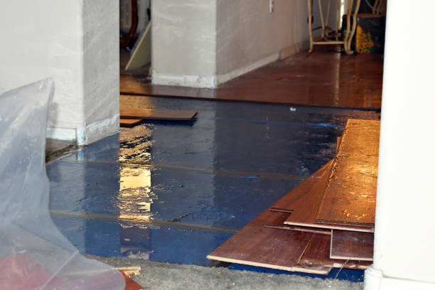 Professional Emergency Water Damage Restoration technician working in Rosholt, WI